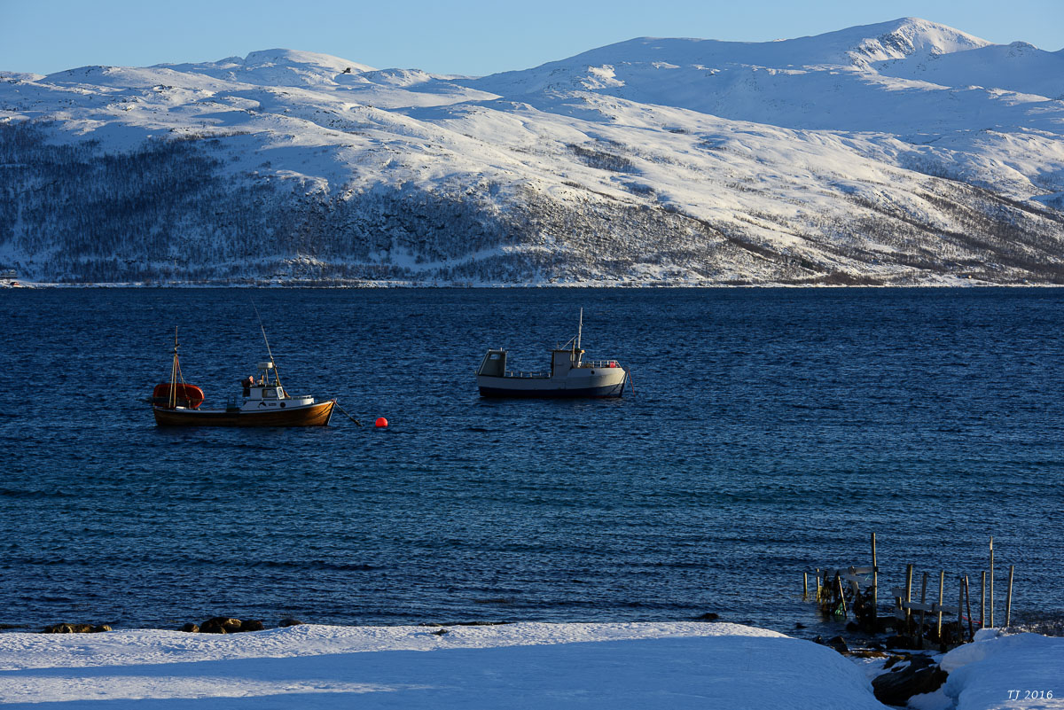 DSC_2717.jpg