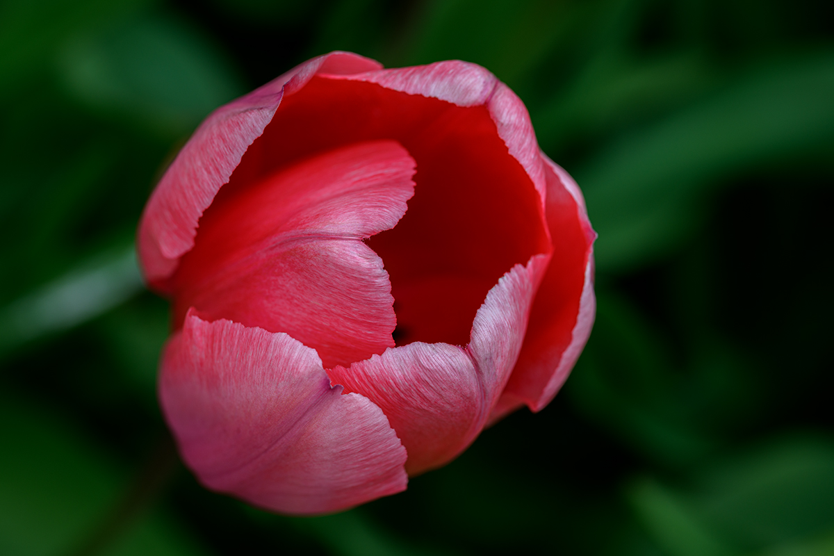 20230417_NZ7_3651NF.jpg