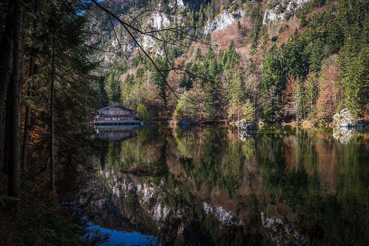 20201107_NZ7_1299NF.jpg
