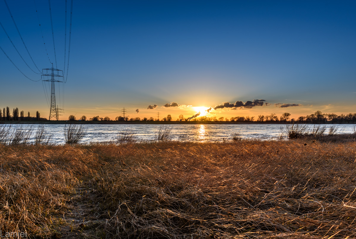 DSC_2313.jpg