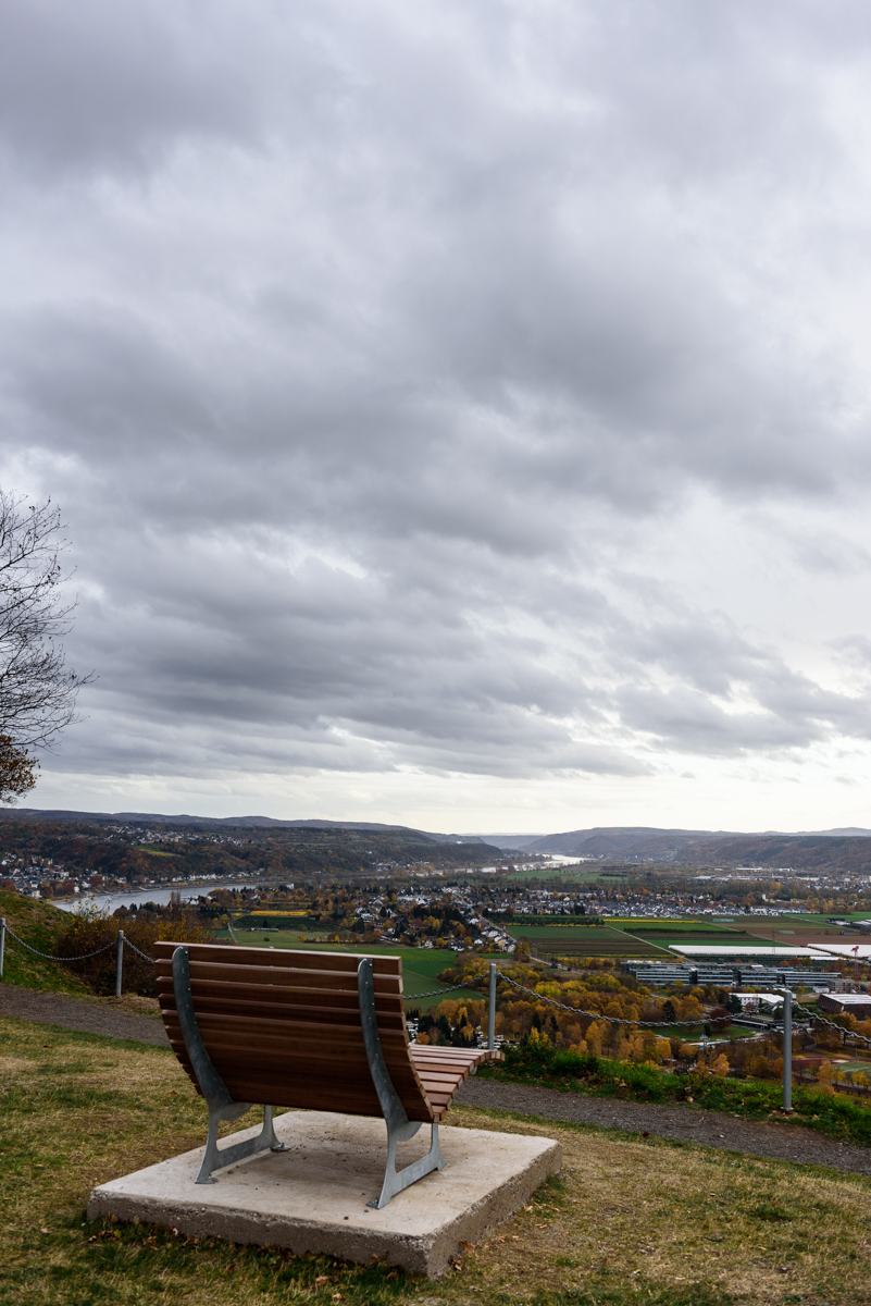 DSC_4547.jpg