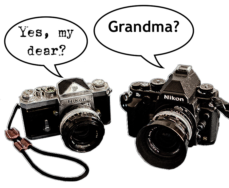 grandmamydearcomic1.jpg
