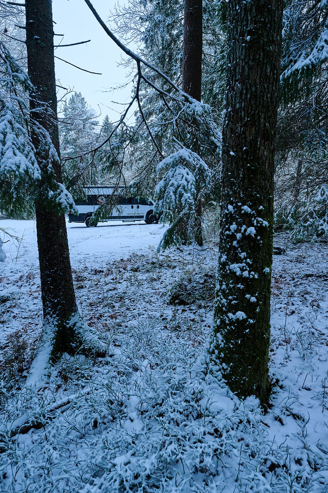 DSC_0607-X2.jpg