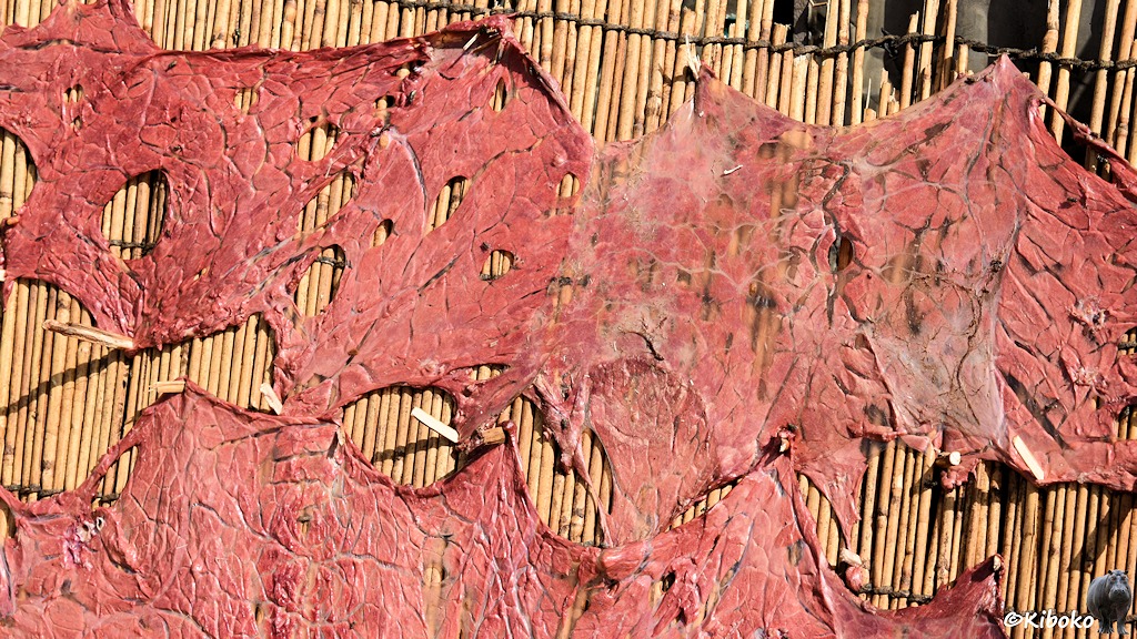 Das Bild zeigt den Ausschnitt einer Strohmatte. Darauf ist dünnes, rosanes Fleisch gespannt und mit Holzplöcken fixiert.