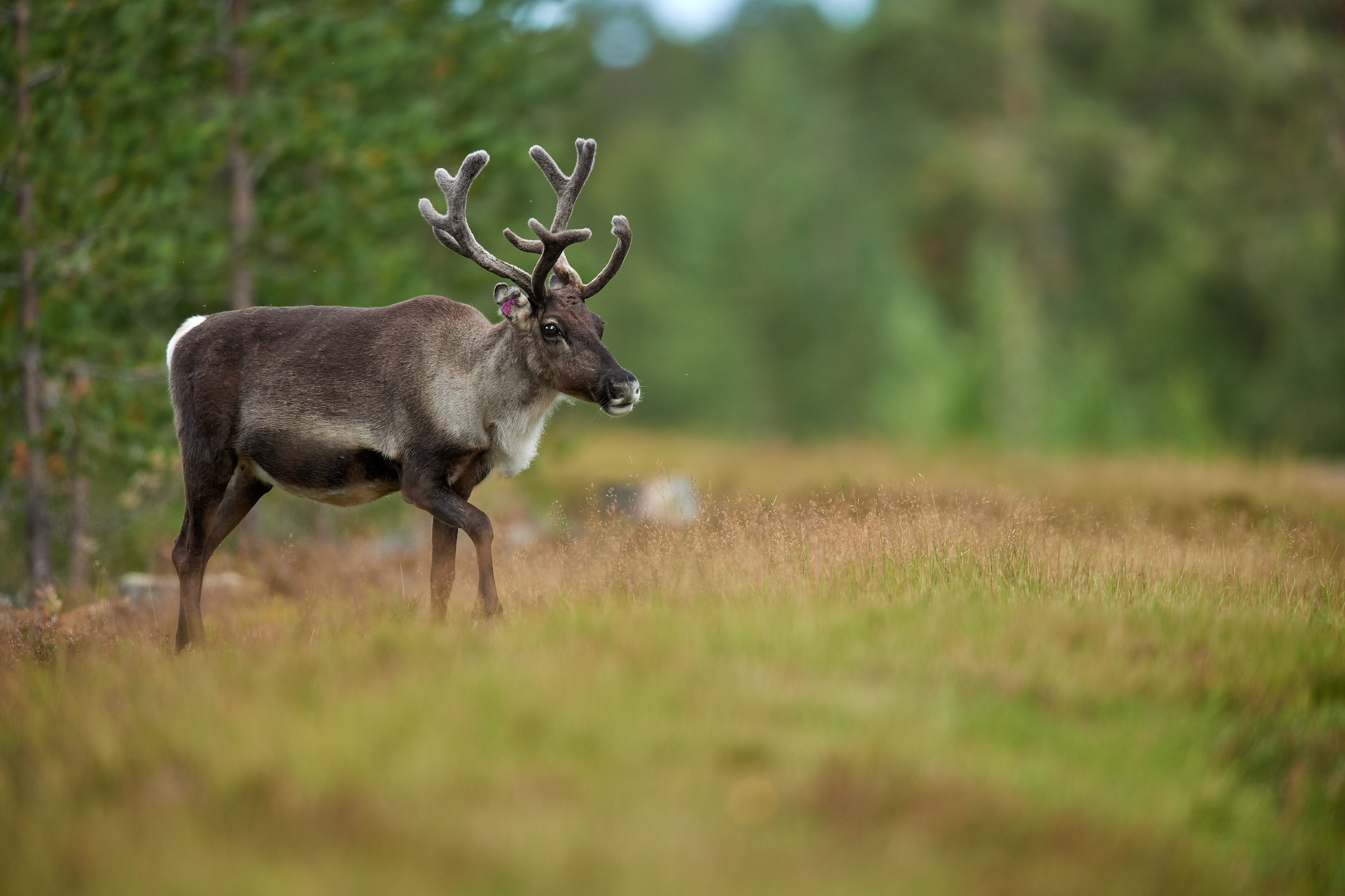 DSC_9856-X4.jpg