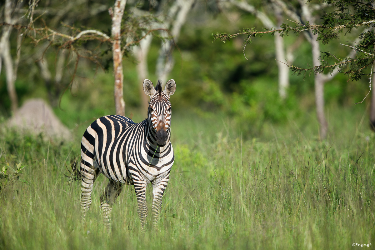 Uganda%202109.jpg