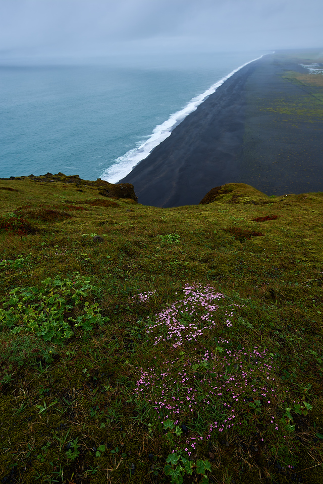 DSC_1423-X2.jpg
