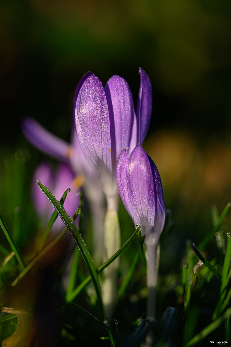 DSC_0791.jpg