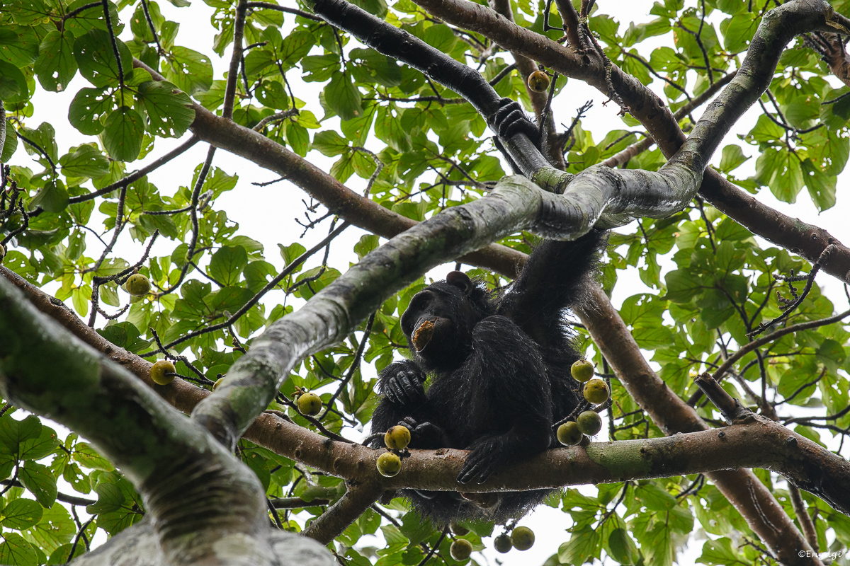 Uganda%200781.jpg