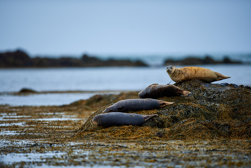 DSC_0291-XL.jpg