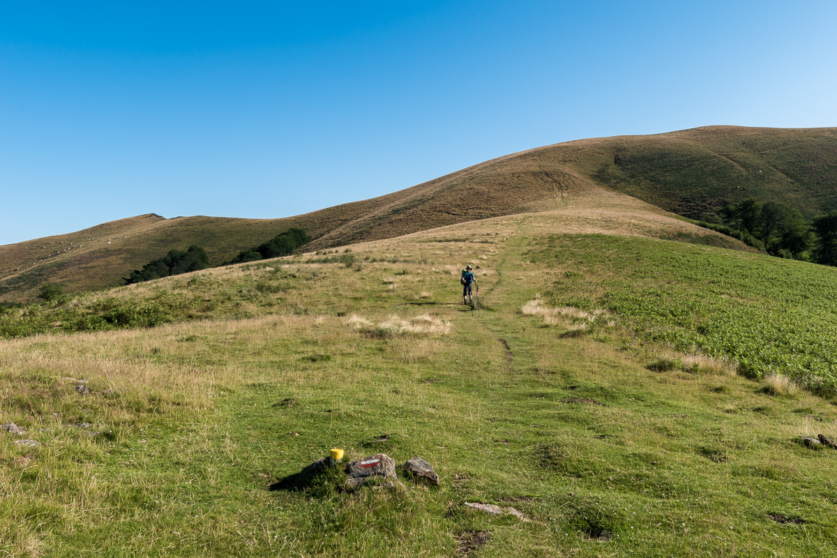 GR10_2017_07_0188.jpg