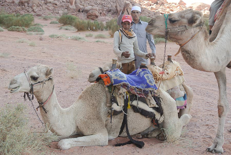 jordanien13_317.jpg