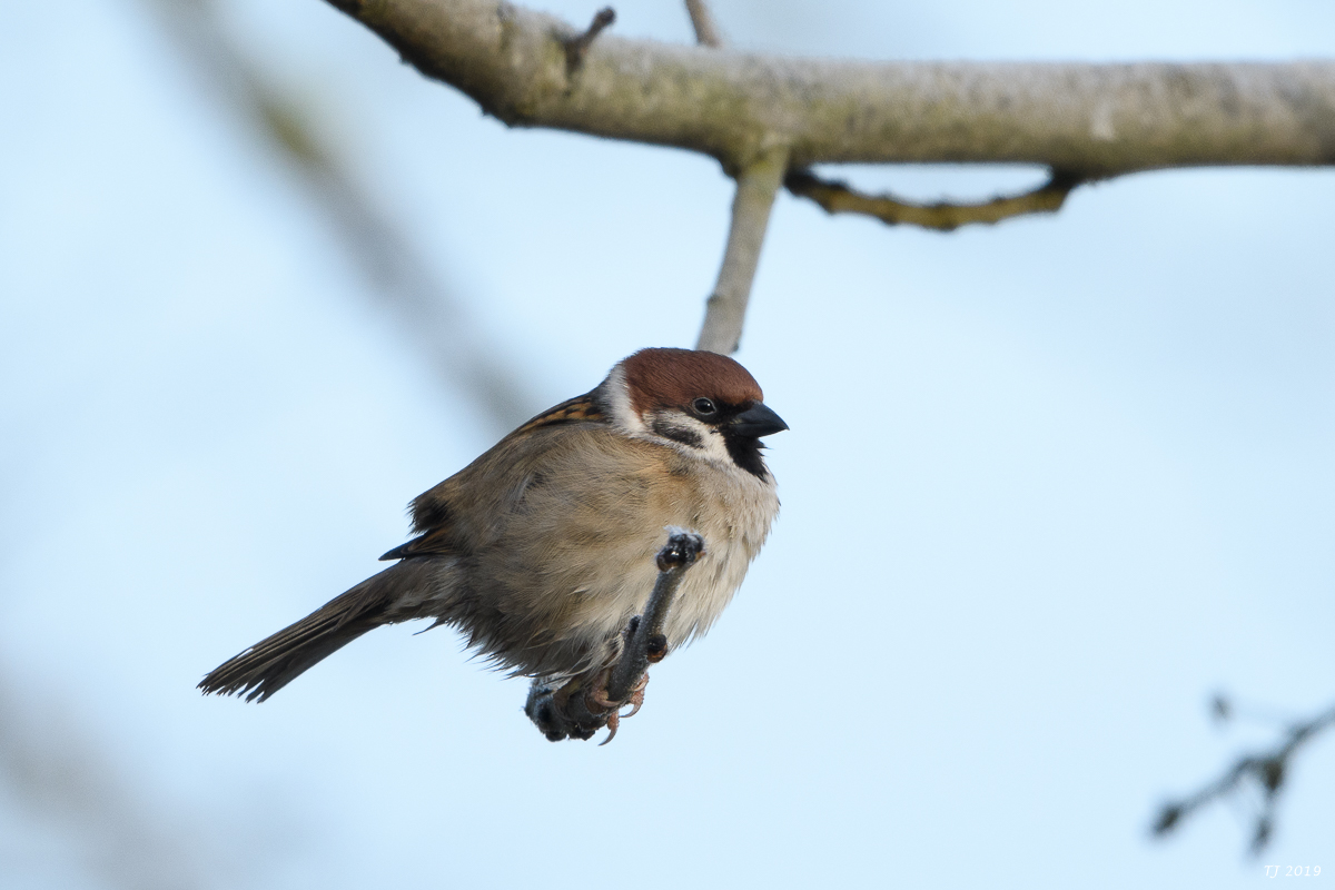 DSC_7092.jpg