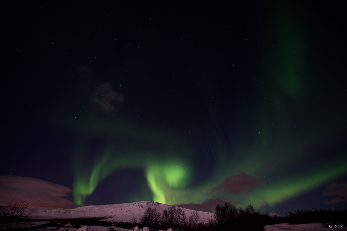 DSC_2626.jpg