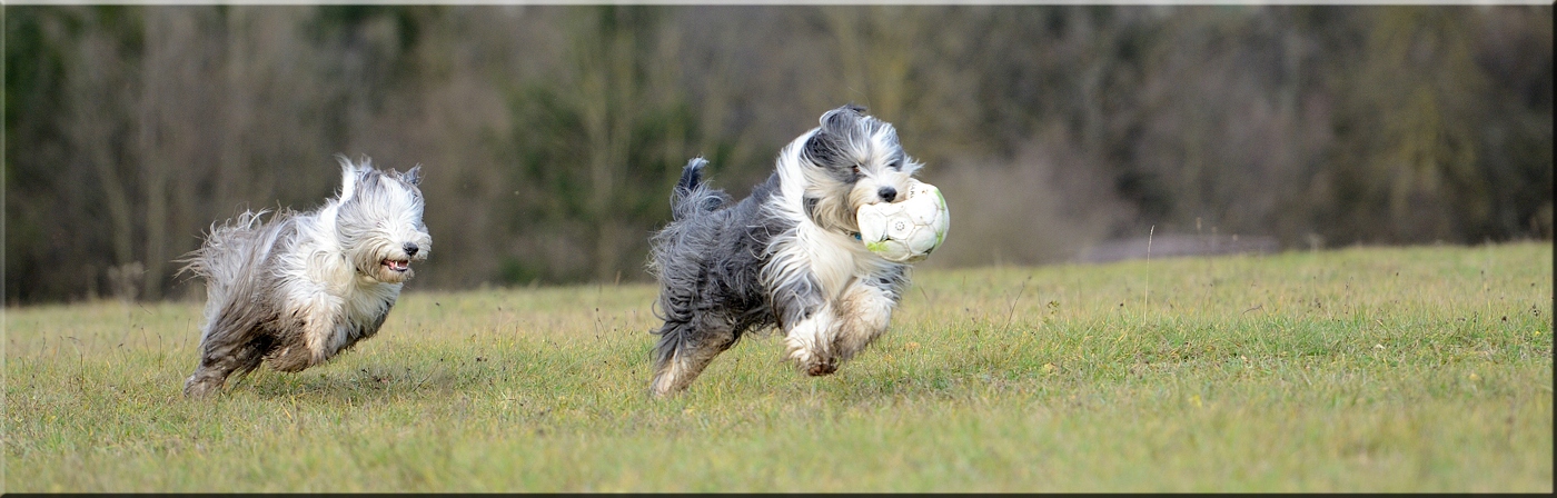 c_meinBall1.jpg