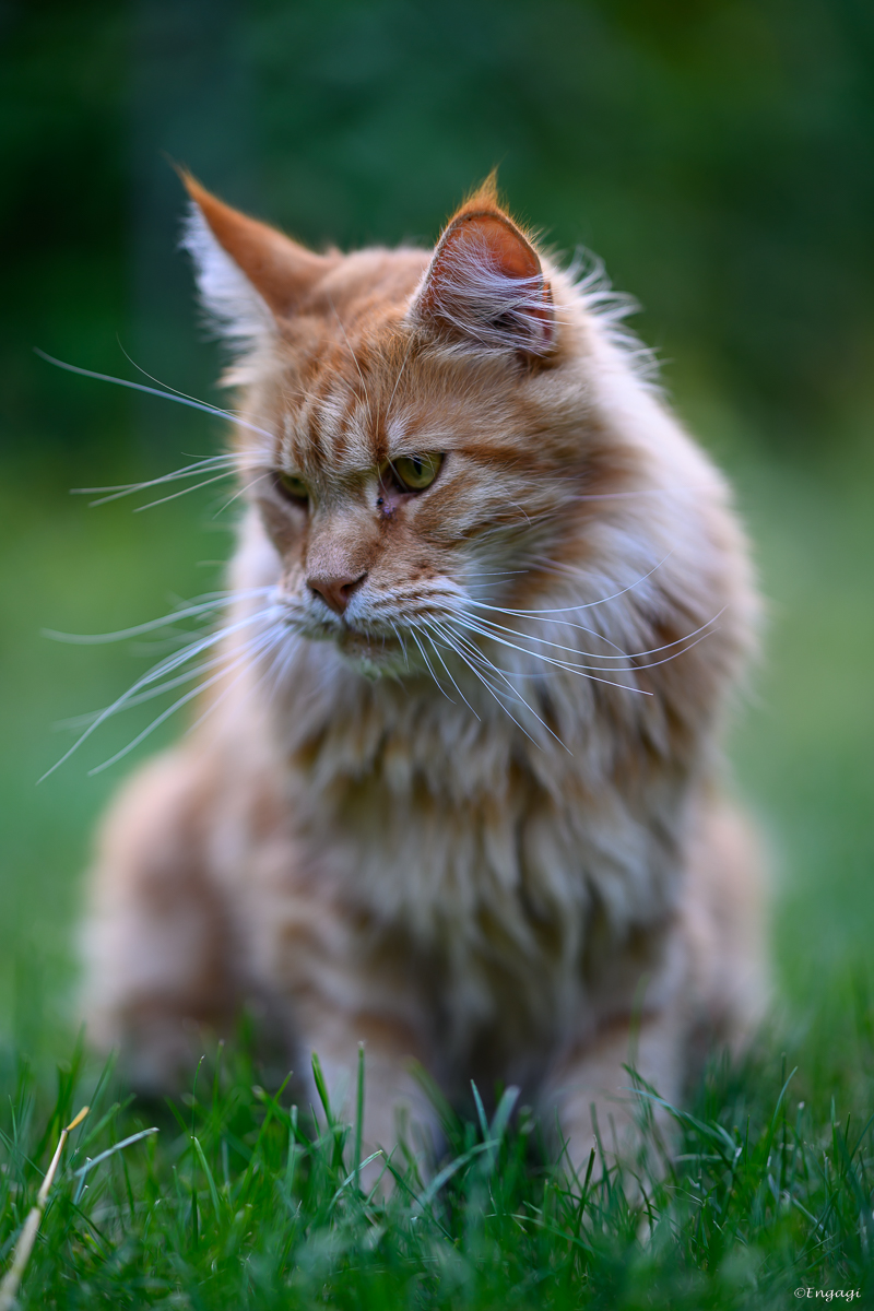 DSC_2858.jpg