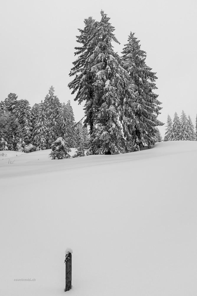 16435905852_c34aab44c5_b.jpg