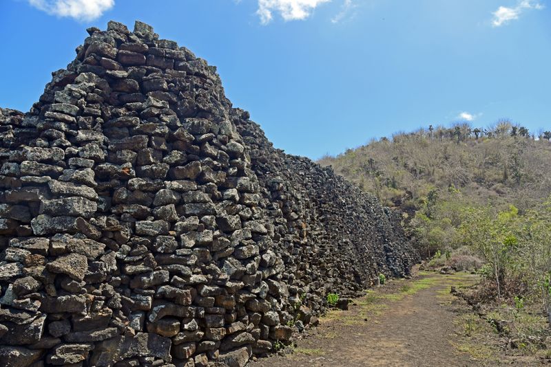 d75_9019.jpg