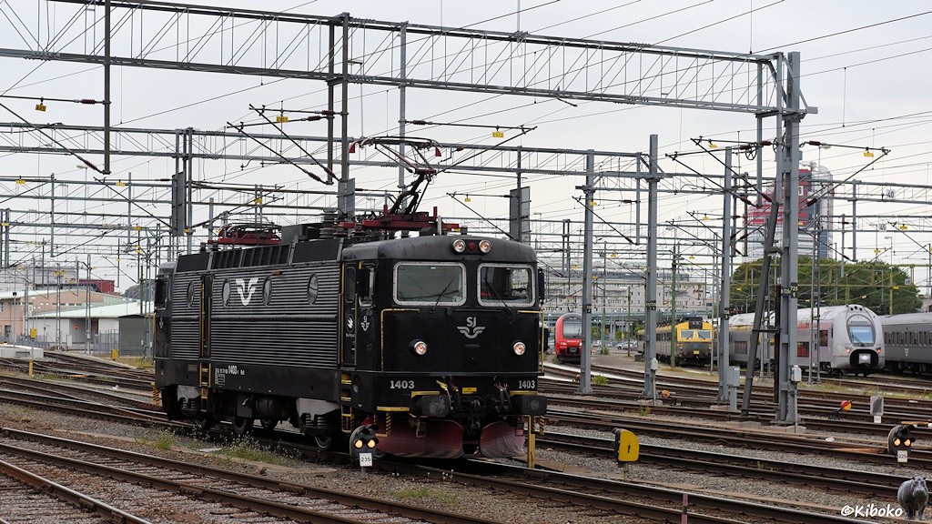 http://foto-kiboko.de/reise/schweden2015/bilder/s150707_Goeteborg_SJ_1403_6950.jpg