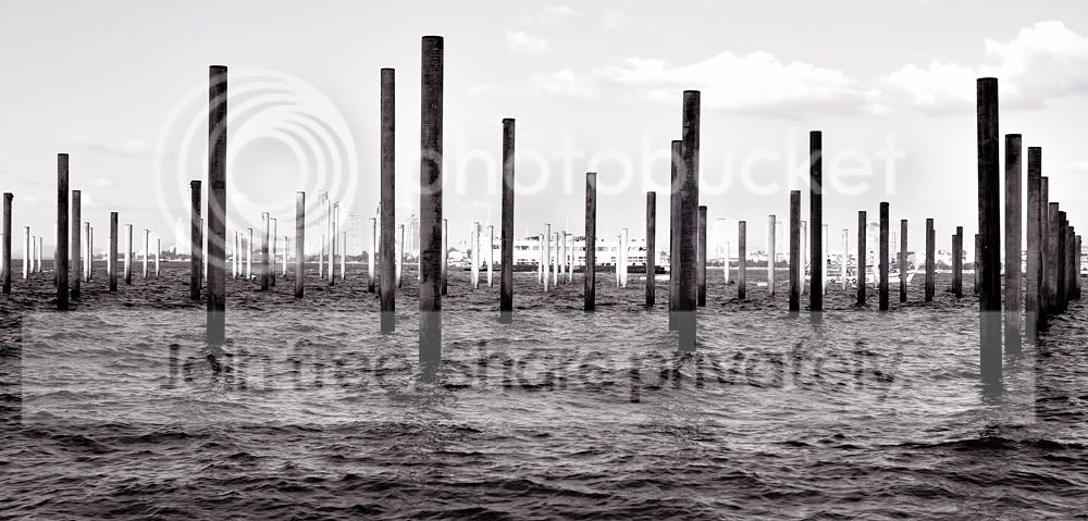 Speed-Boat1.jpg