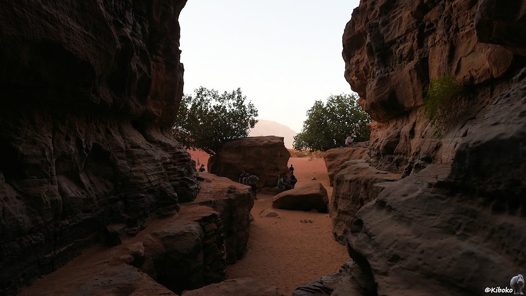 Blick aus der Schlucht nach draußen