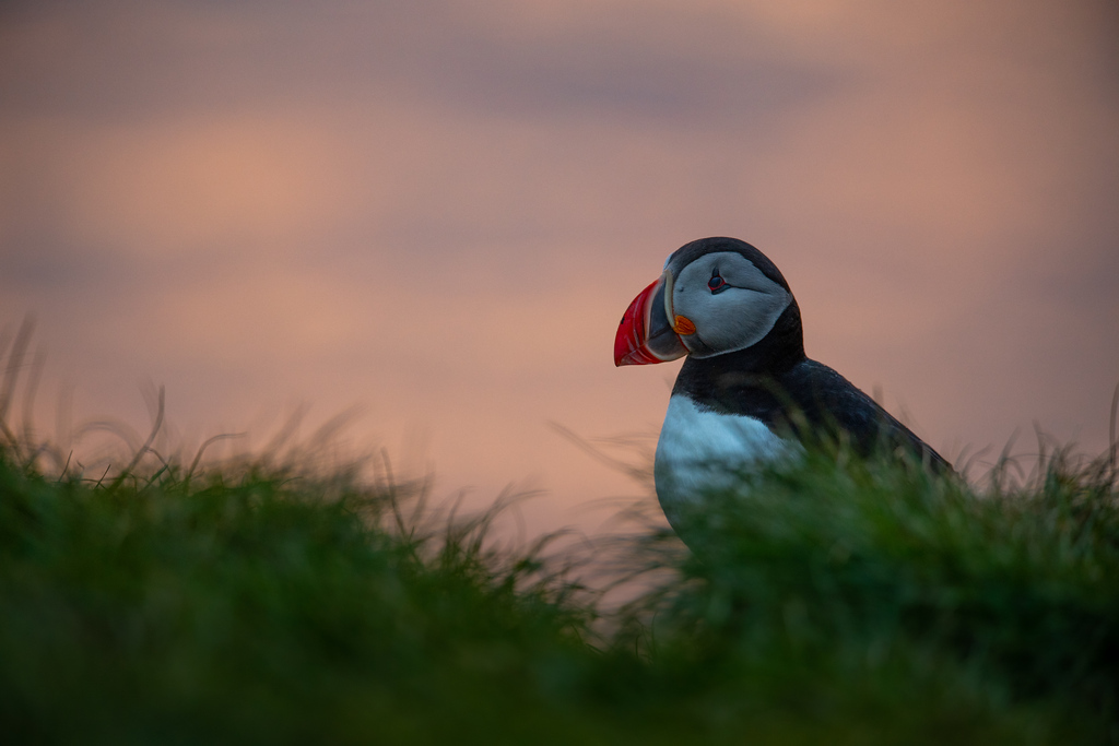 DSC_2926-XL.jpg