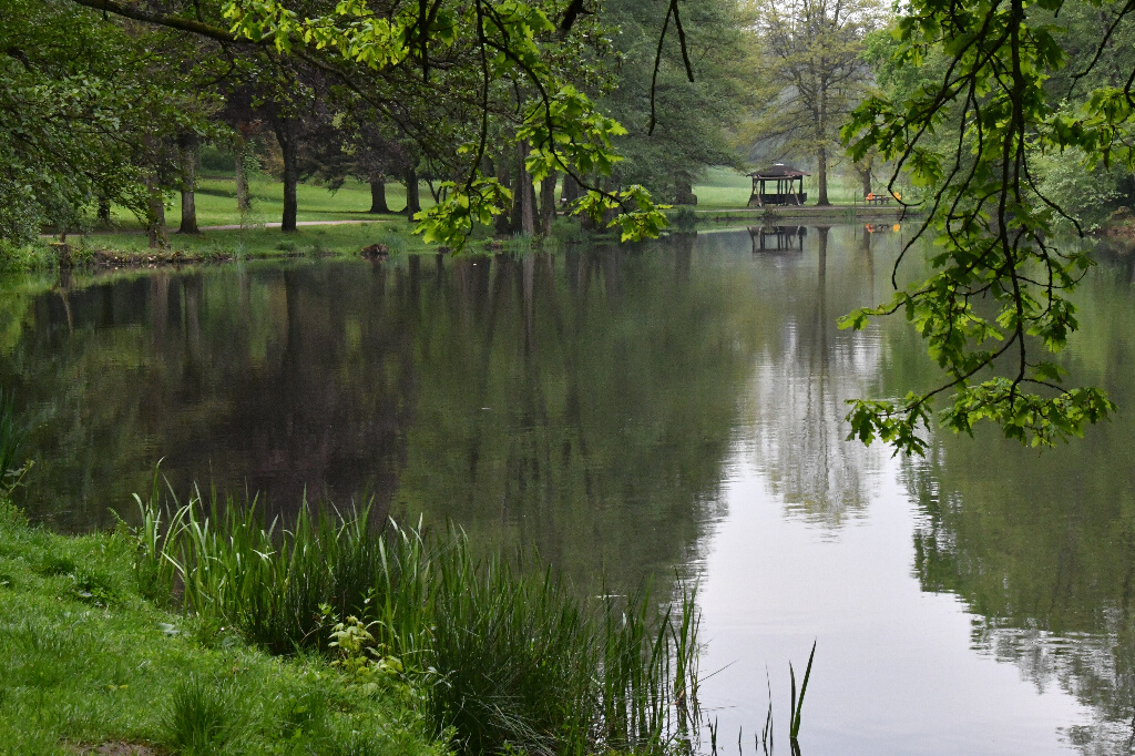 weiher001.jpg
