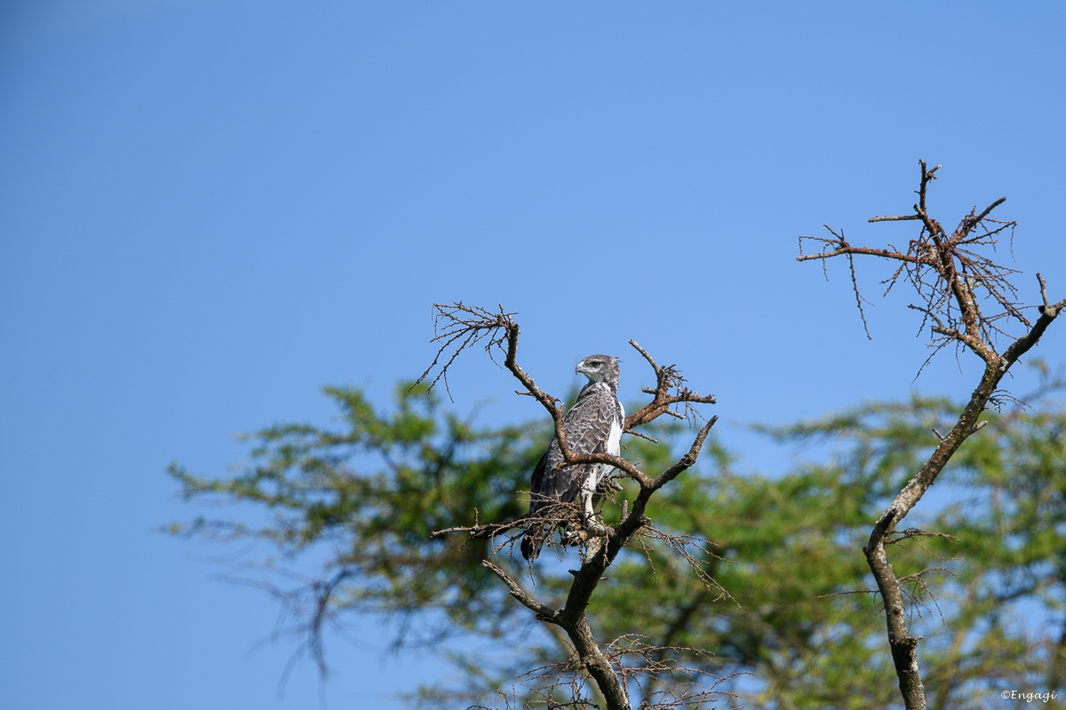 Uganda%202297.jpg