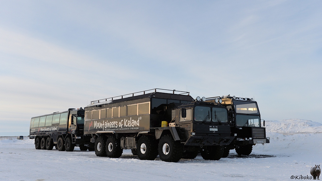 Das Bild zeigt drei schwarze geländegängige Busse auf LKW-Fahrgestellen. Im Zentrum steht ein schwarzer, vierachsiger MAN Militär-KLW. Auch dieser LKW hat einen Busaufbau mit Panoramafenster bekommen.