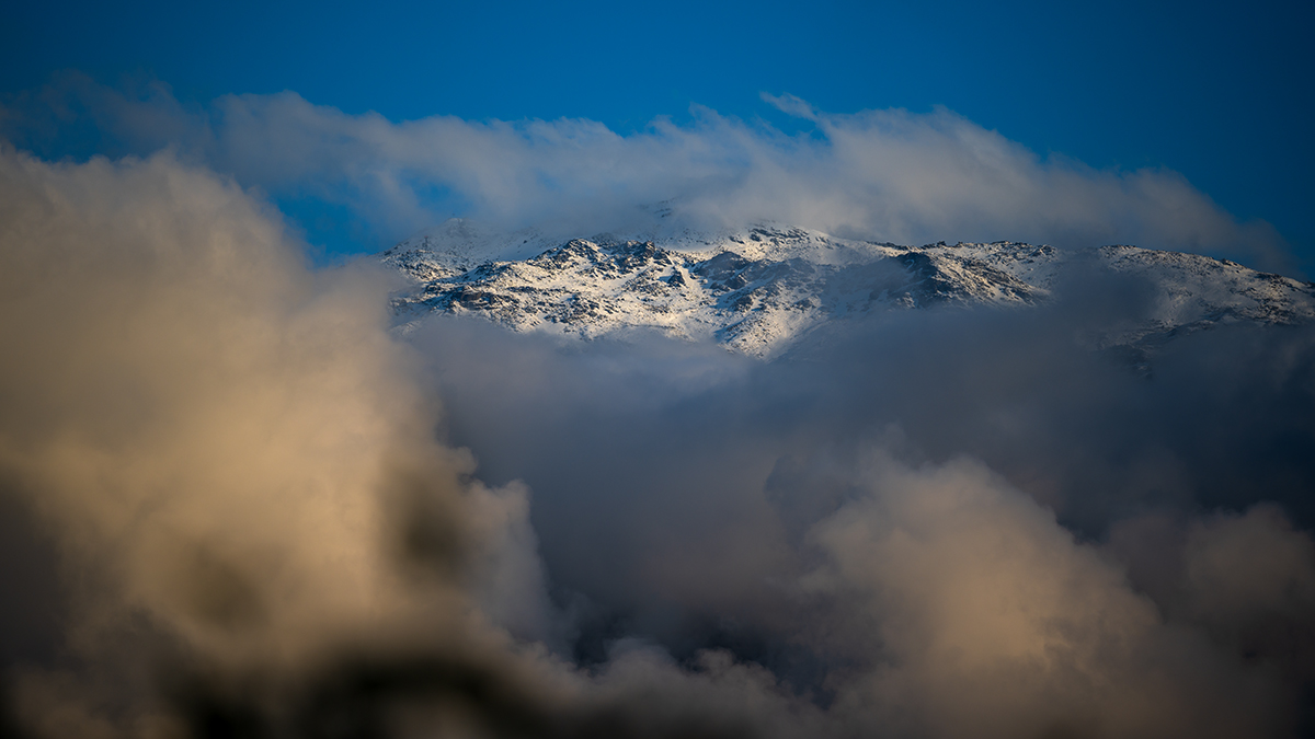 20220530_NZ7_3317wNF.jpg