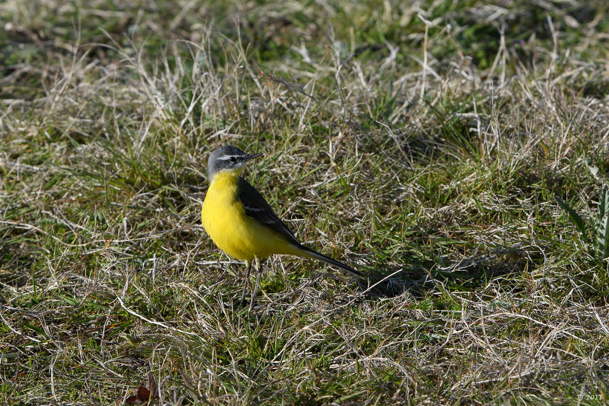 DSC_1329.jpg