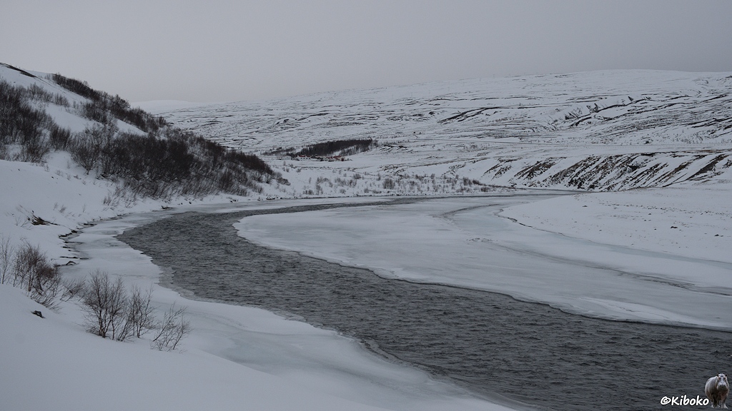 Ein Fluss fließt in einer S-Kurve durch ein schneebedecktes Tal. Die Ränder haben eine Eisschicht. Büsche ragen aus dem Schnee.