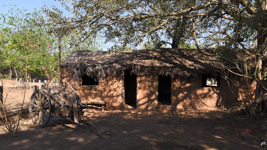 Das alte Farmhaus aus Lehm ist mit Palmenblättern gedeckt