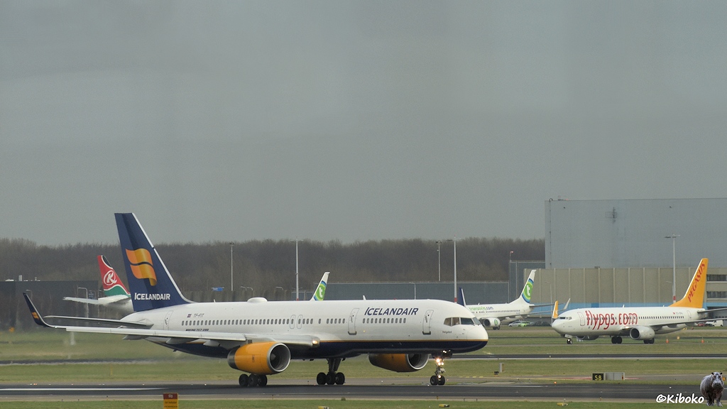 Das Bild zeigt ein weißes Flugzeug mit blauem Leitwerk, blauer Unterseite und gelben Triebwerken der Icelandair auf der Rollbahn eines Flughafens.