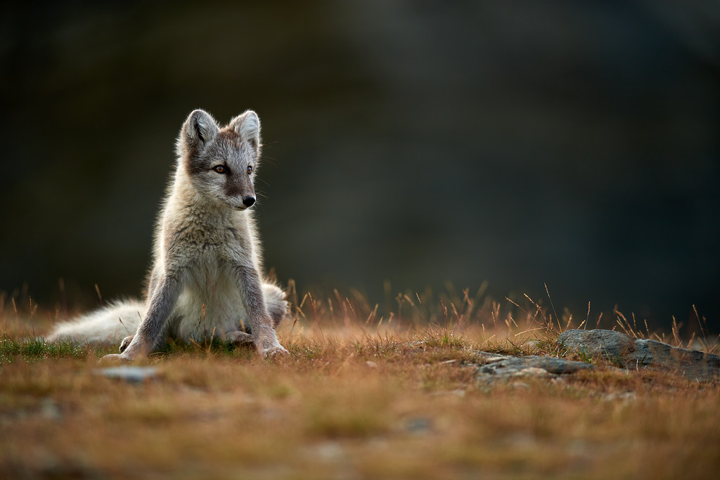 DSC_7912-XL.jpg