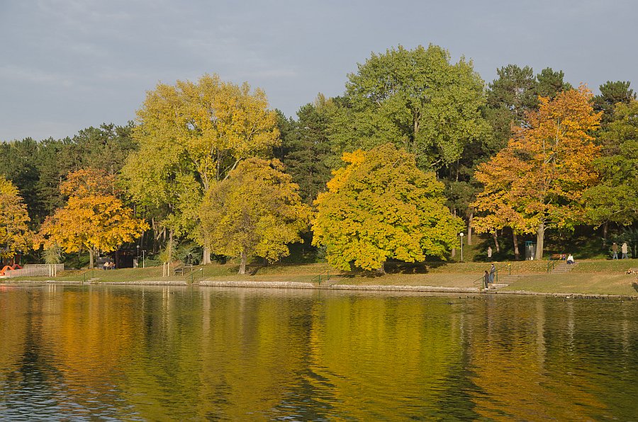 DSC_6689.jpg