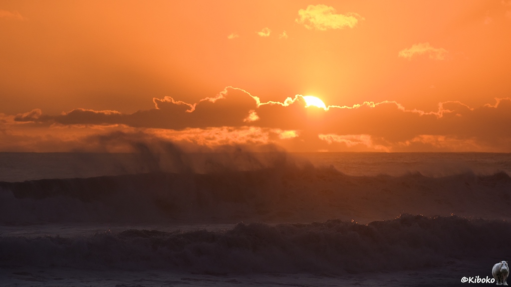 Das Bild zeigt zwei sich brechende Wellen gegen die Sonne. Der Himmel leuchtet orange. Die Sonne versteckt sich gerade hinter einem schmalen Wolkenband. Die Gischt an den Wellenkämmen stiebt in die Höhe.