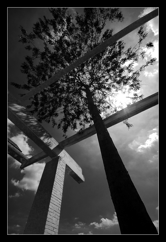 Baum_7191.jpg