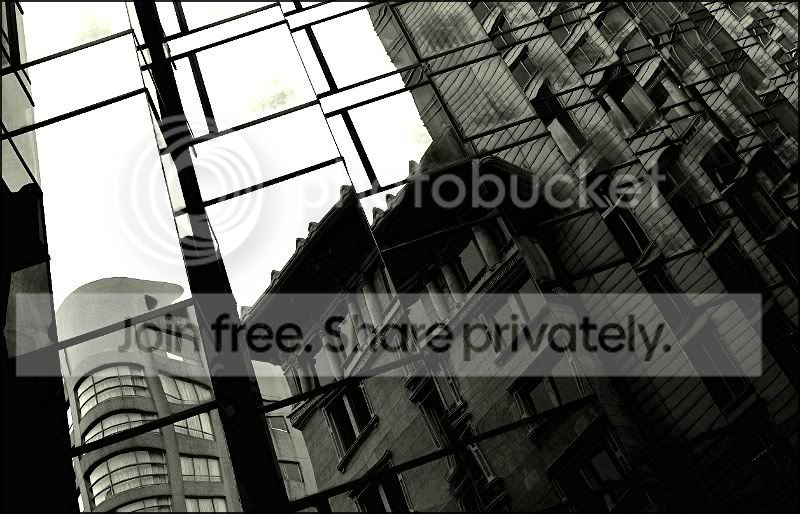 comp_DSC_0184.jpg