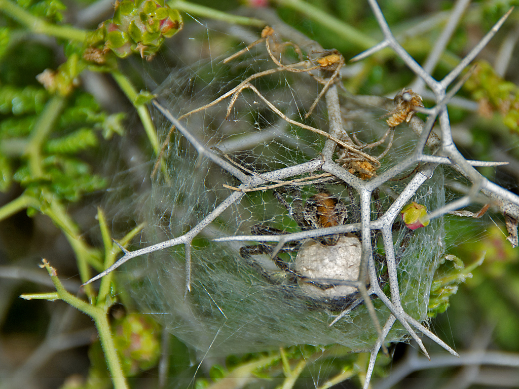 DSC_0074.jpg