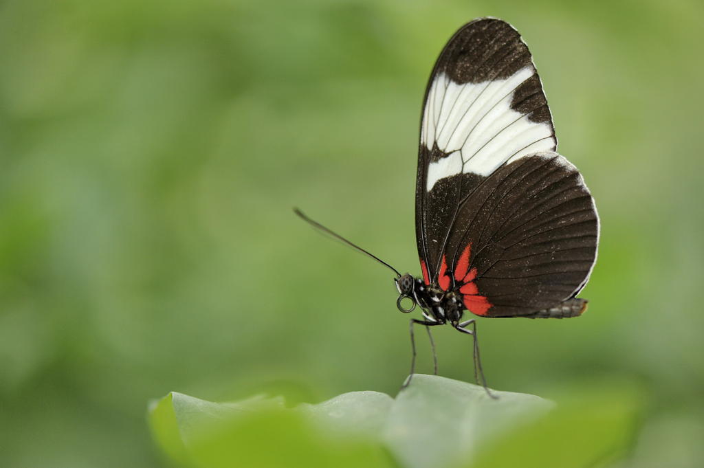 18645381lz.jpg