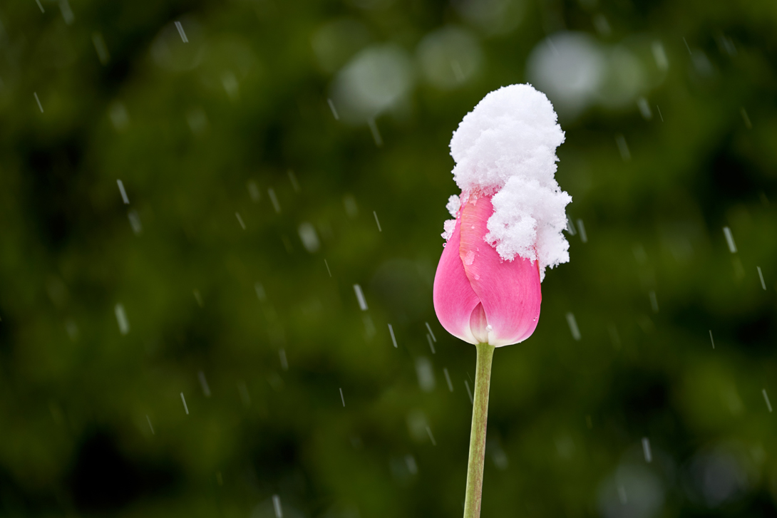 A7_05915_c1n.jpg