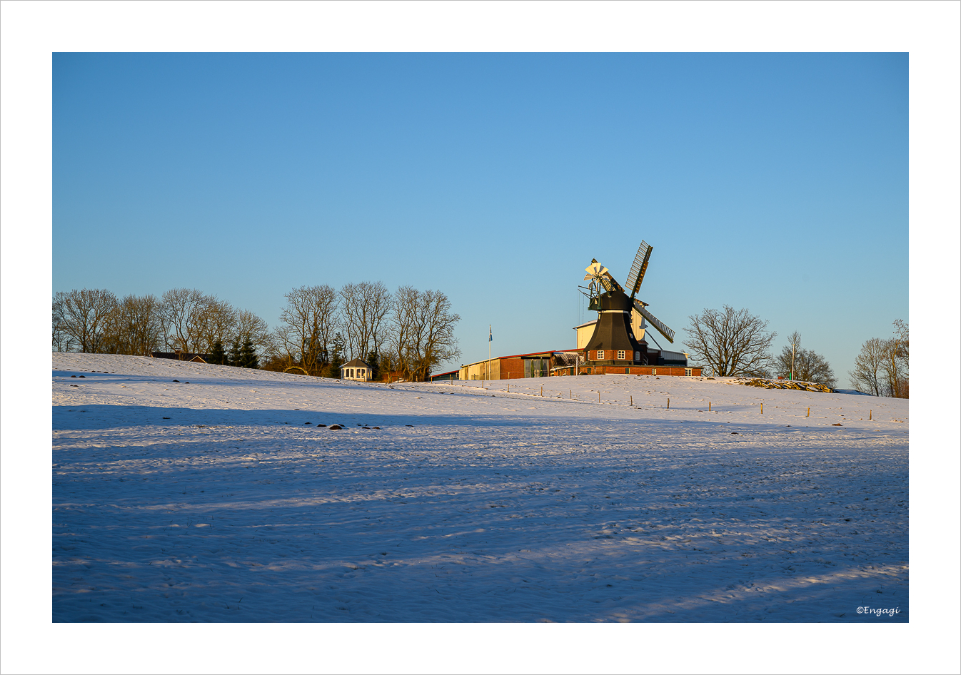 DSC_4116.jpg