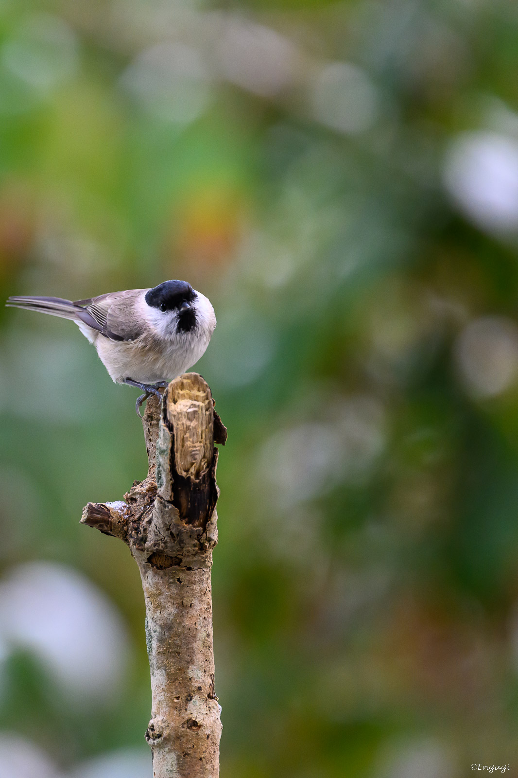 DSC_6751.jpg