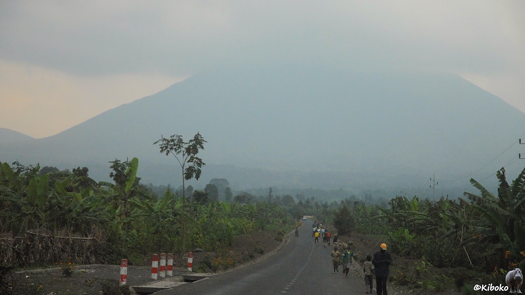 Das Bild zeigt eine gerade auf einem Vulkan zulaufende Teerstraße. Die Vulkanspitze ist hinter Wolken. Auf den Feldern stehen Bananenstauden.