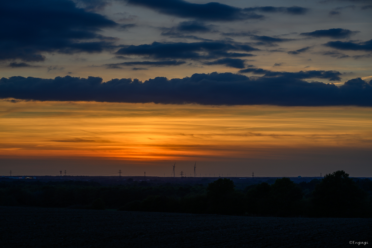 DSC_4493.jpg