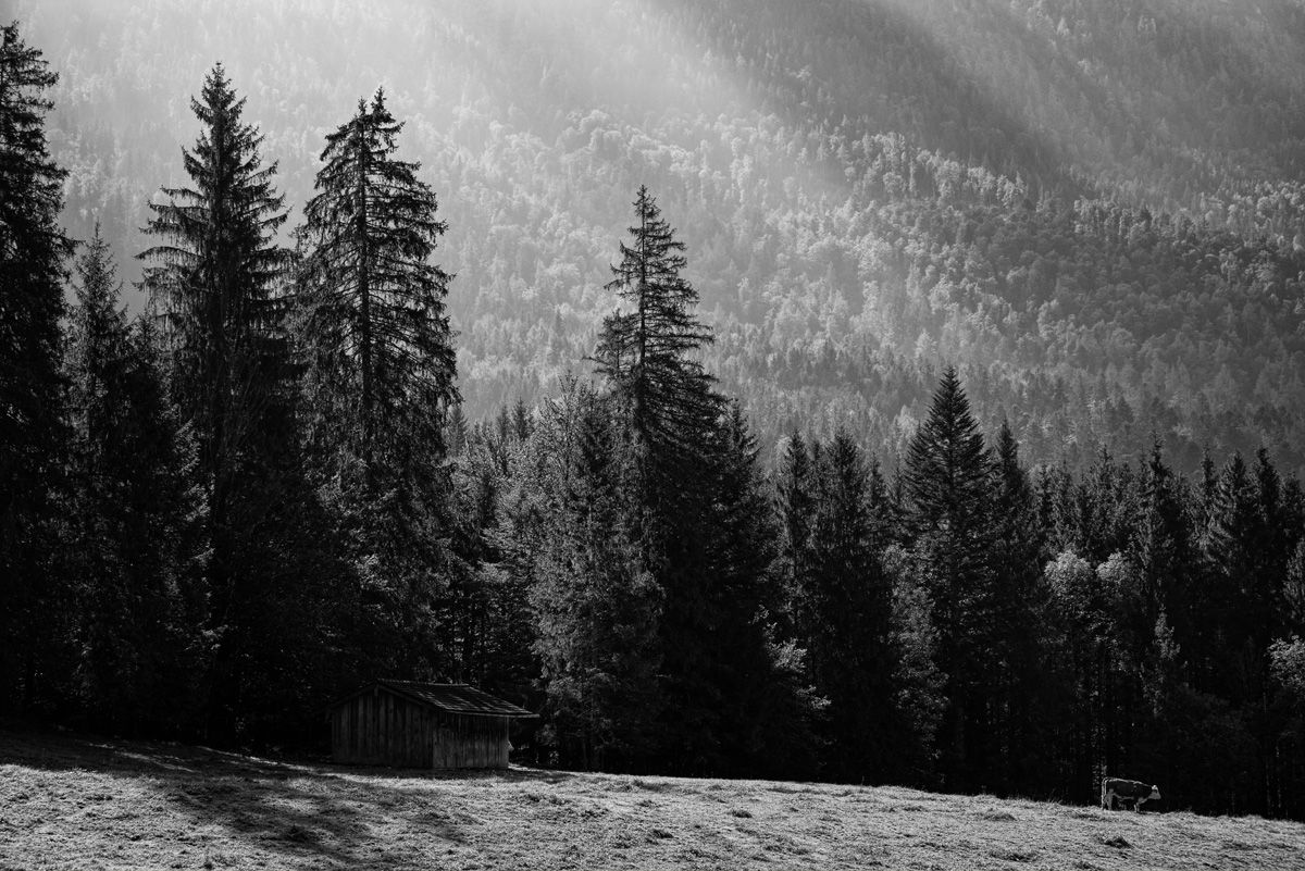 Frillensee_nff_5.jpg