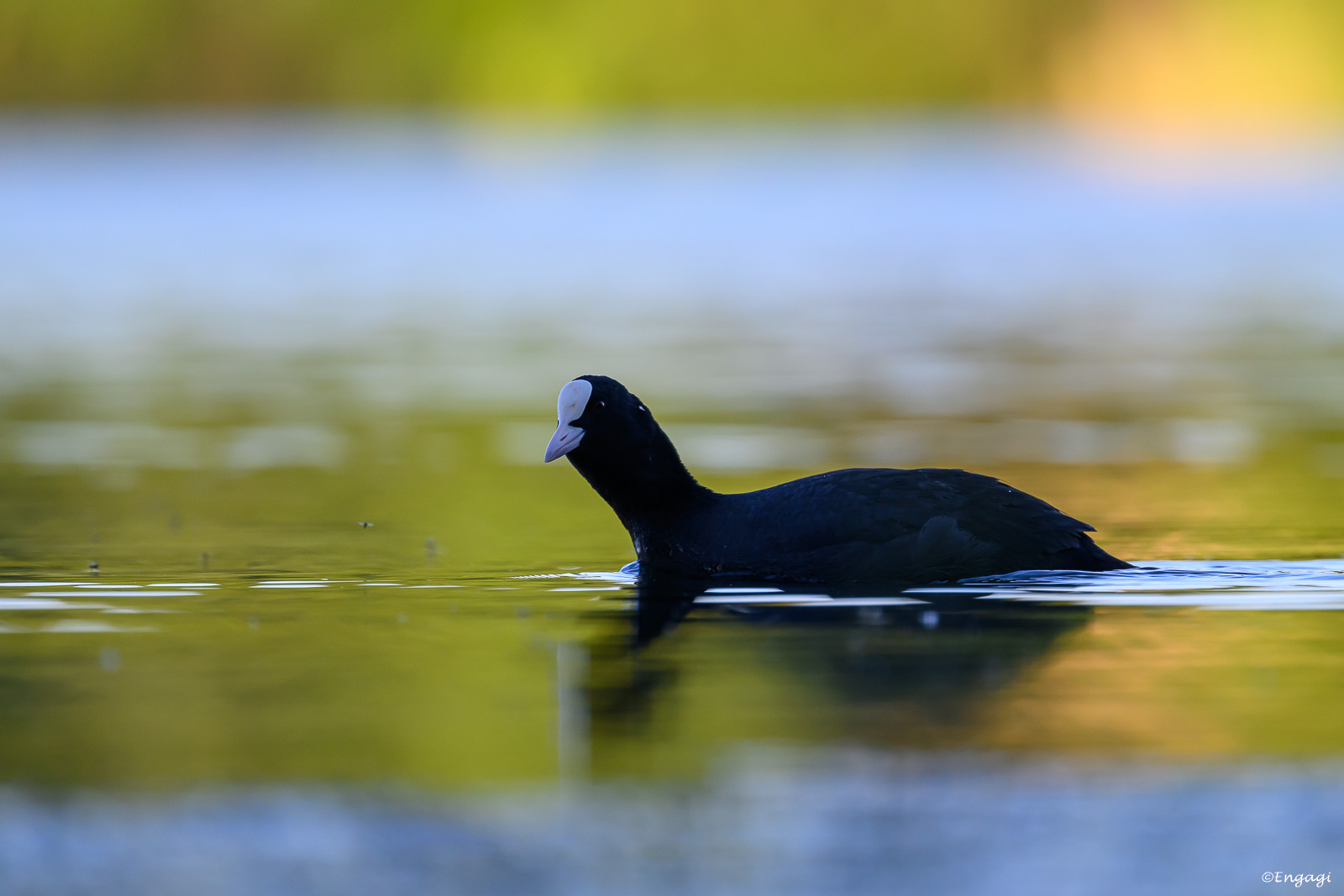 DSC_3873.jpg
