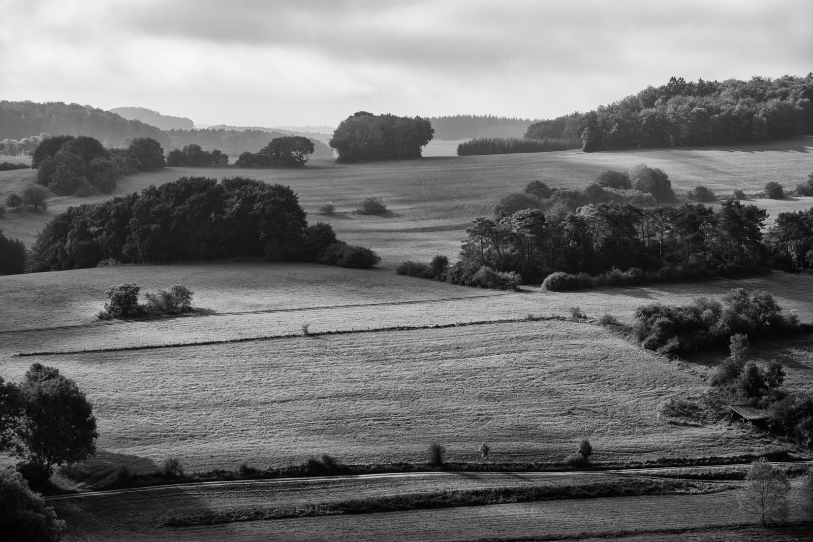 DSC_2086.jpg