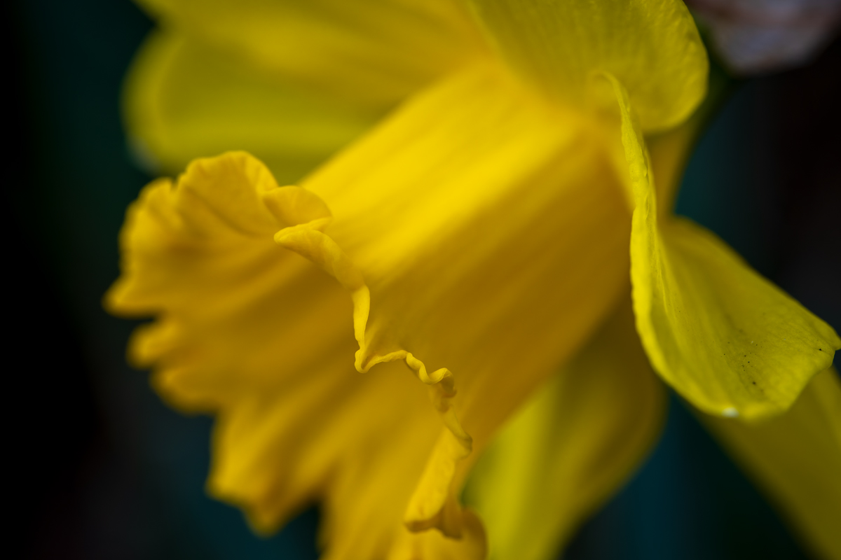 20260322_NZ8_0428_DPX2NF.jpg